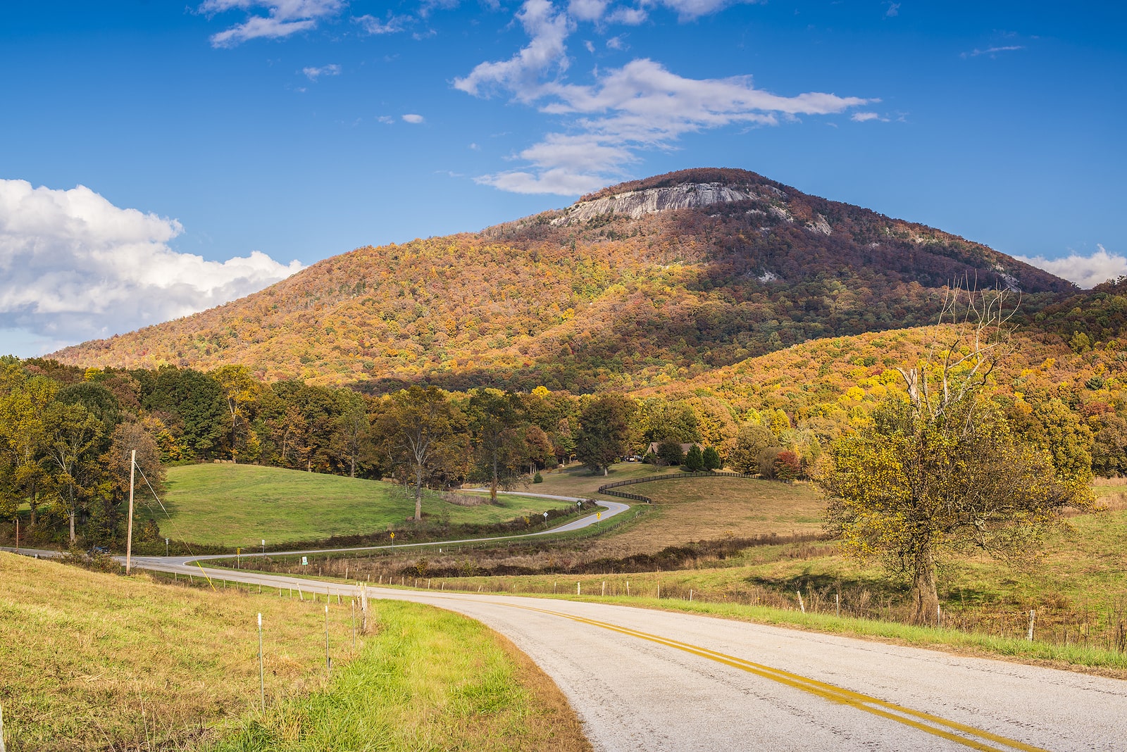 Northeast Georgia Property Management